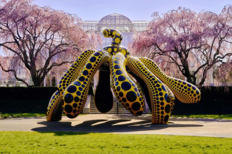 NYBG Press Room » KUSAMA: Cosmic Nature Image Gallery