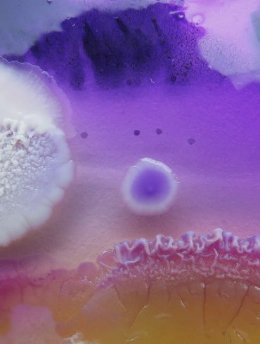 When Mold is looking Fabulous! The Microorganisms Studies of Dasha Plesen