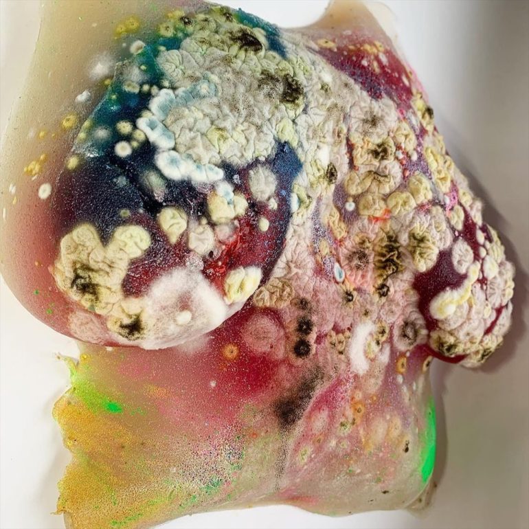 When Mold is looking Fabulous! The Microorganisms Studies of Dasha Plesen