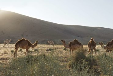 In Roads Less Travelled | Morocco